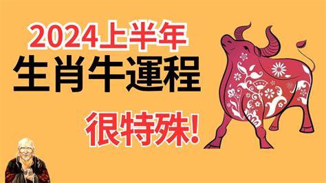 屬牛運勢|生肖牛：屬牛2024年運勢及運程，2024年屬牛人的全年每月運勢。